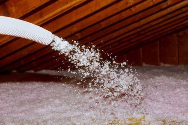 Best Professional Insulation Contractor  in Crestwood, MO
