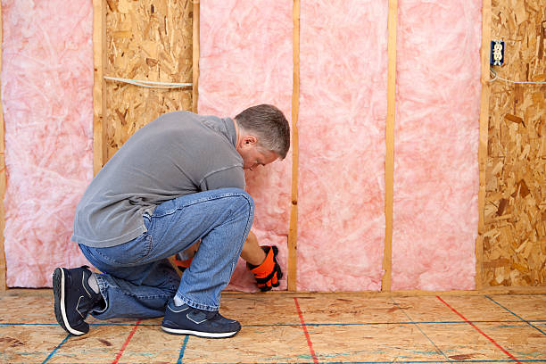 Best Wall Insulation Contractor  in Crestwood, MO