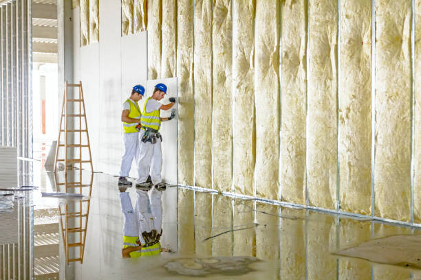 Best Insulation Repair Services  in Crestwood, MO